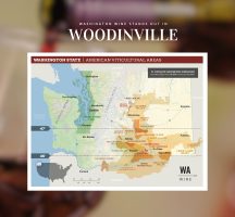 Why Washington Wine Stands Out: What Wine Lovers Are Saying